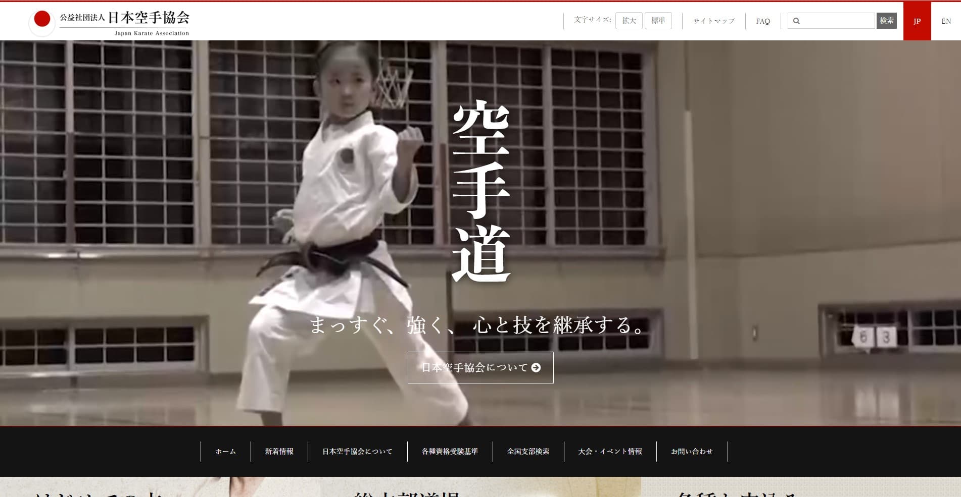 Japan Karate Association project preview